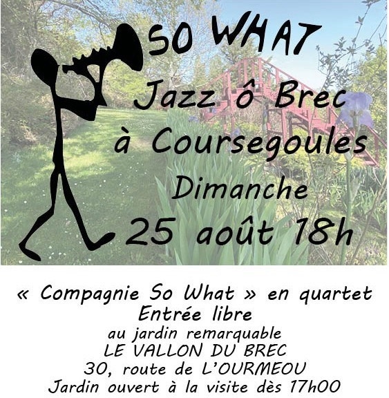 jazz o brec 250824